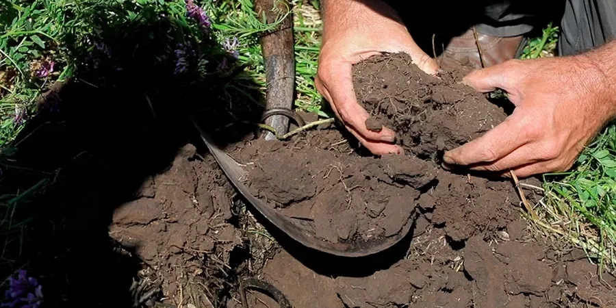 Illustrative image of Organic soil management in Anaheim